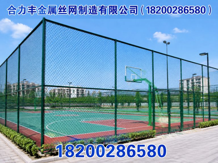 崇州市球场围网展示图